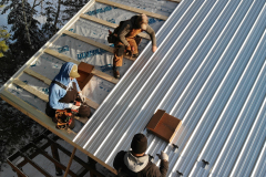 Standard Metal Roof